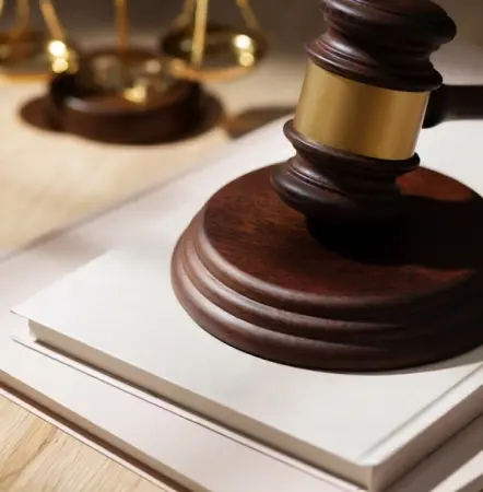 Civil-Litigation